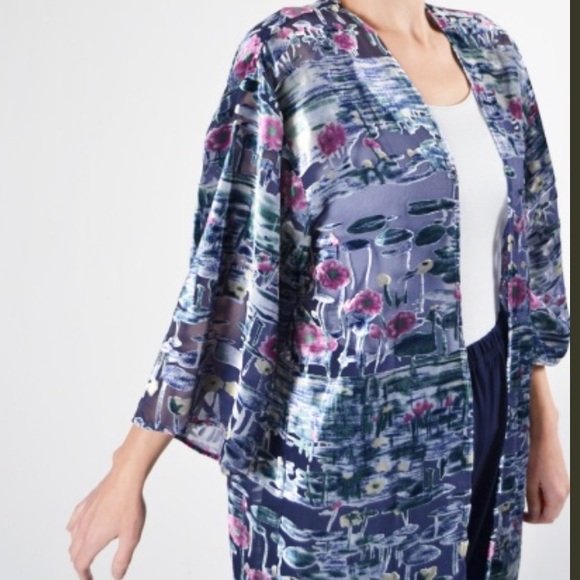 Anthropologie and Aris A Silk Velvet Kimono - - OS - Picture 9 of 15